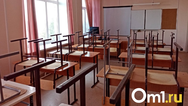 Мэрию Новосибирска обязали решить проблему с забастовкой в гимназии №10