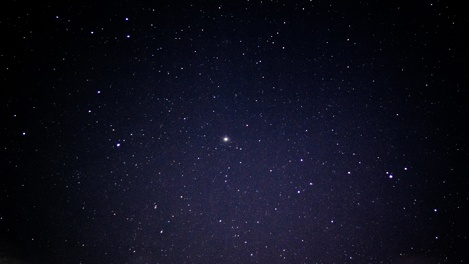 Звёзды советуют Тельцам не проявлять негатив и копить энергию