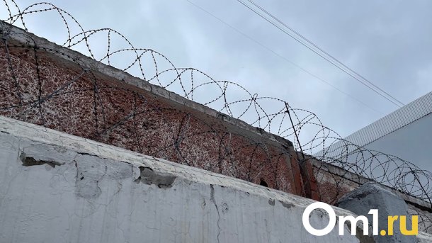 В следкоме подтвердили информацию о нападении на 12-летнюю девочку в Омске