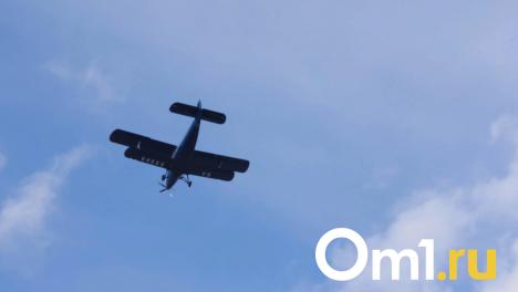 Озвучена примерная стоимость авиабилетов из Омска в Усть-Ишим