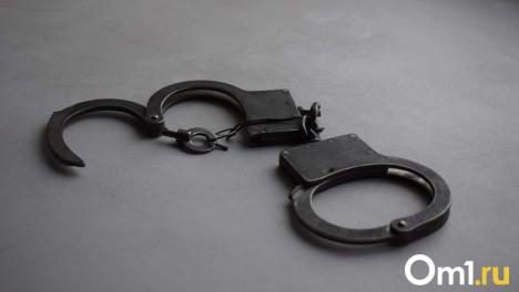 Двух жителей Новосибирской области обвинили в госизмене и пропаганде терроризма