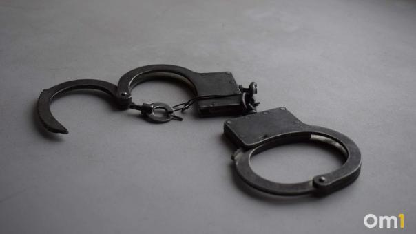 Двух жителей Новосибирской области обвинили в госизмене и пропаганде терроризма