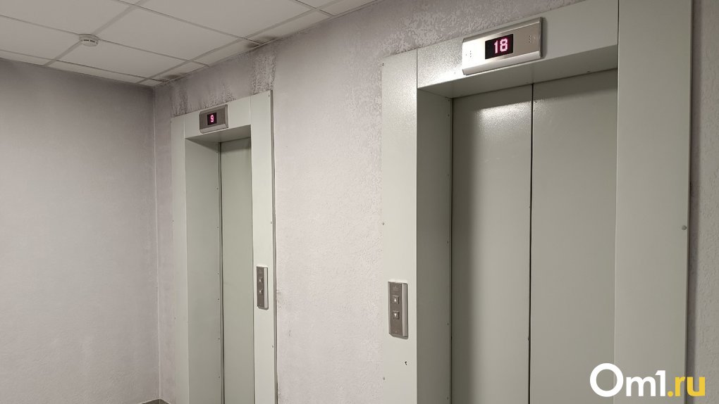 Шпиц погиб после падения в шахту лифта в одной из многоэтажек Новосибирска. ВИДЕО