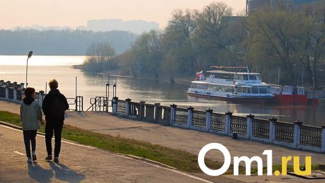 Омичи, у которых доход меньше 30 тысяч рублей, боятся одиночества