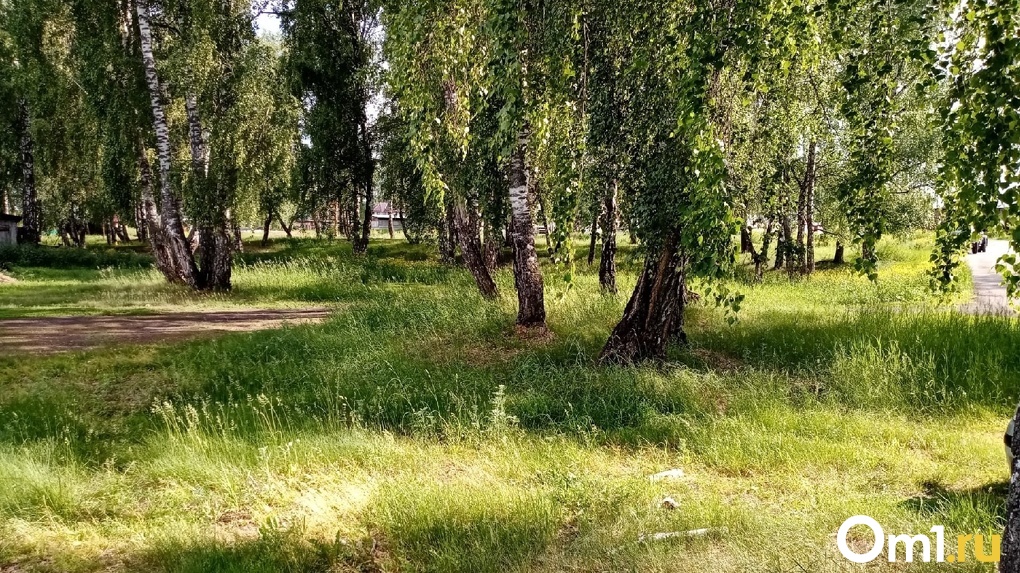 Омичам разрешат выезжать в лес на пикники уже в эти выходные