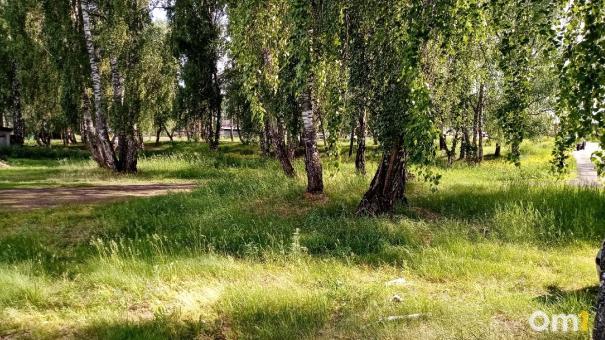 Омичам разрешат выезжать в лес на пикники уже в эти выходные