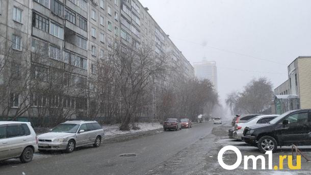В Омске появятся дополнительные посты для мониторинга атмосферного воздуха
