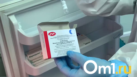 России предрекли всплеск смертности из-за недоказанной эффективности новосибирской вакцины «ЭпиВакКорона»