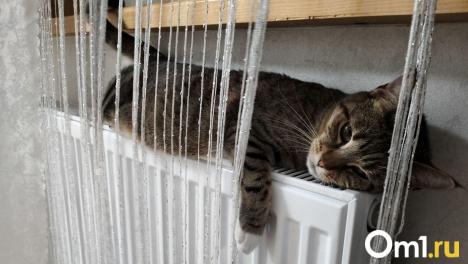 Омичи получат квитанции за тепло с новыми цифрами