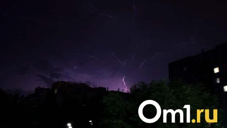 Упавшие деревья и погасшие светофоры: в Омске устраняют последствия мощного шторма