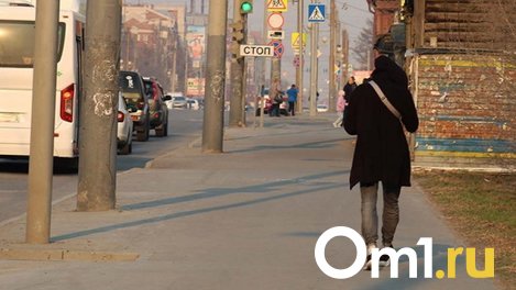 Омичи пожаловались на дыру в асфальте посередине тротуара