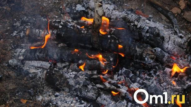 Омская мэрия закупит устройство для сжигания трупов