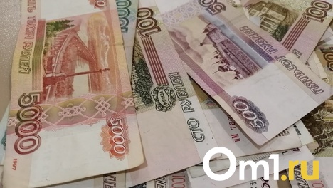 Российские пенсионеры могут получить 10 000 рублей при оформлении самозанятости