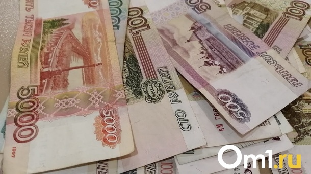 Российские пенсионеры могут получить 10 000 рублей при оформлении самозанятости