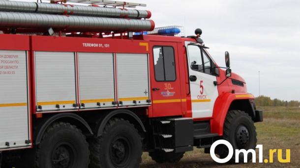 Соцсети: в Омской области сгорел школьный автобус