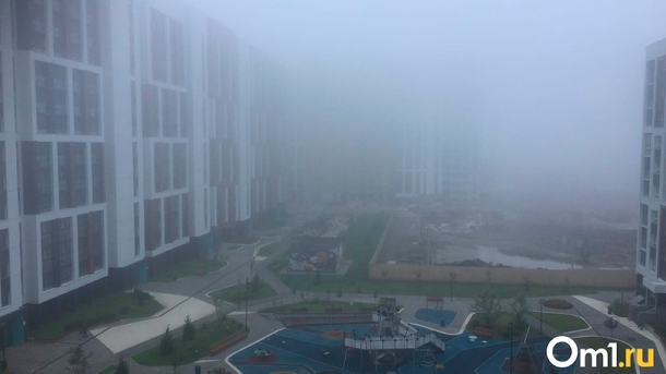 Тяжело дышать: на невыносимый запах гари пожаловались новосибирцы