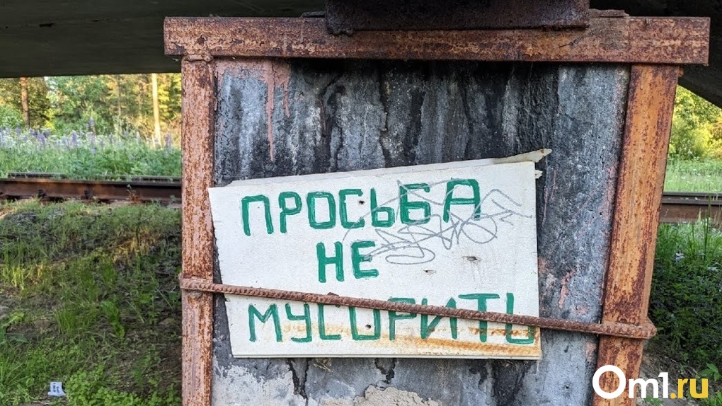 В Омске уберут незаконные свалки, которые появились у дачных кооперативов