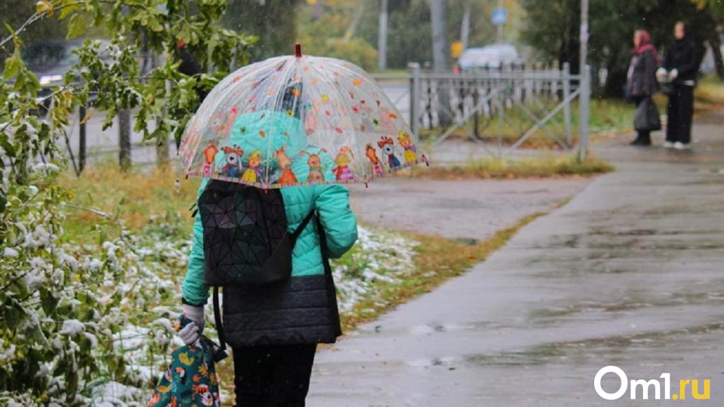 После выходных погода в Омской области сделает мощный поворот