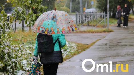 После выходных погода в Омской области сделает мощный поворот