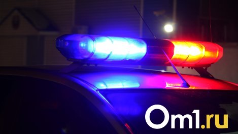 Житель Омской области погиб, перевернувшись в поле на машине