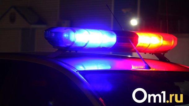 Житель Омской области погиб, перевернувшись в поле на машине