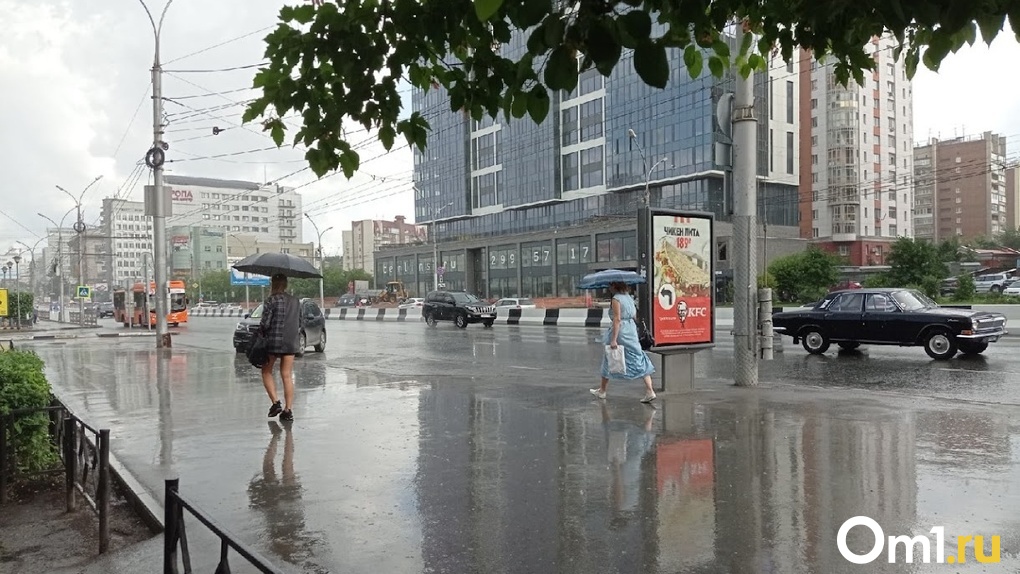 Дожди, грозы, град и шквальный ветер на выходные прогнозируют синоптики в Новосибирской области