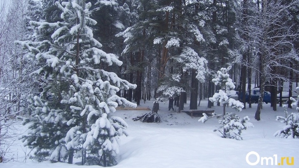 Похолодание до -31 градуса обещают новосибирцам в январе 2023 года