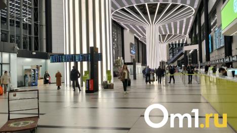 В Минтрансе рассказали, когда начнётся строительство аэропорта Омск-Фёдоровка