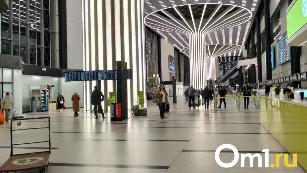 В Минтрансе рассказали, когда начнётся строительство аэропорта Омск-Фёдоровка