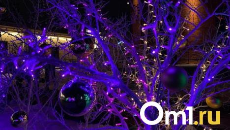 Бесплатные катки и подарки: стало известно, какие мероприятия ждут омичей в новогодние праздники