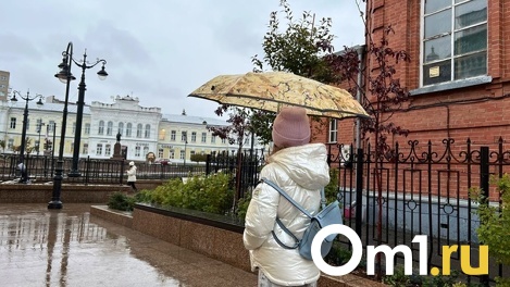 Намолили? В Омскую область наконец придут дожди