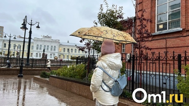 Намолили? В Омскую область наконец придут дожди