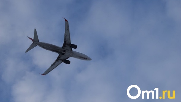 Red Wings запустит отменённые ранее рейсы Омск – Барнаул