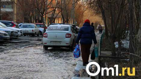 «Пришла на остановку — и вот она, дыра». С омских дорог исчезает асфальт