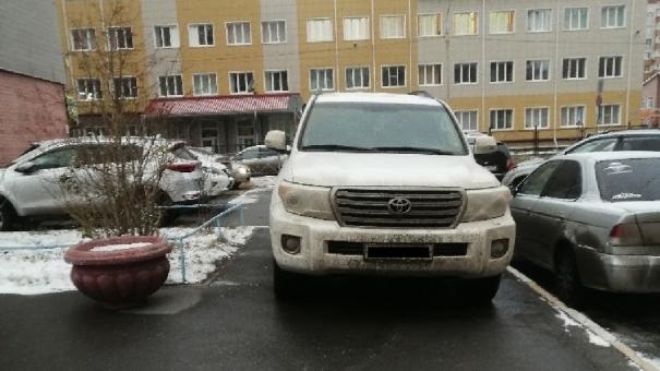 Интернет-мститель покарал омичку, которая парковалась на тротуаре
