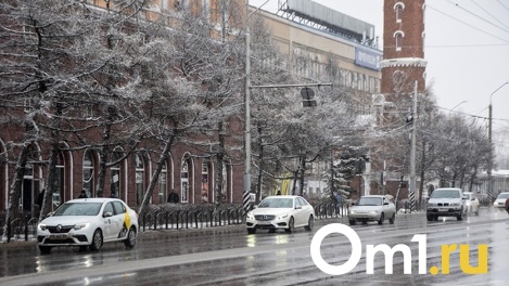 В Гидрометцентре рассказали, когда омичам ждать прихода весны