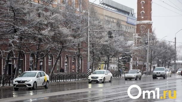 В Гидрометцентре рассказали, когда омичам ждать прихода весны