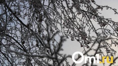 Плюсовая температура со снегом ожидает новосибирцев в конце недели