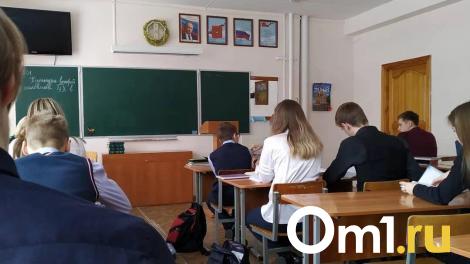 Из-за аномальных морозов дети смогут пропустить школу в Новосибирске