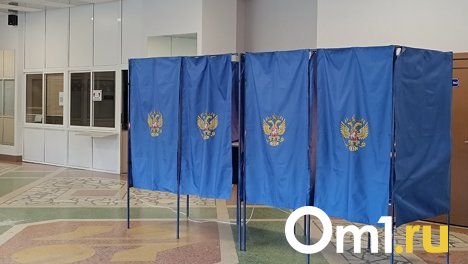 По итогам выборов главы Новосибирской области общая явка превысила 30%