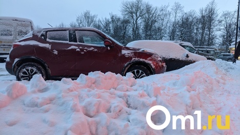 Омских водителей освободят от штрафов в период аномальных погодных условий