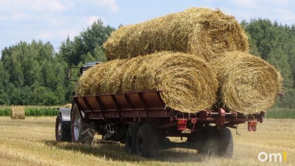 Аграрии Новосибирской области бьют новые рекорды