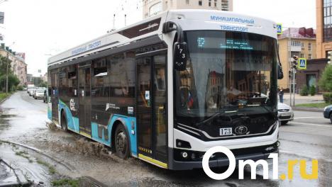 Транспортная модернизация в Омской области: обновление автопарка для комфорта жителей