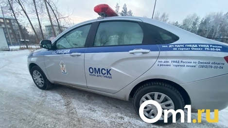 Выстрел в колесо и побег через забор: омские полицейские ловили пьяного водителя