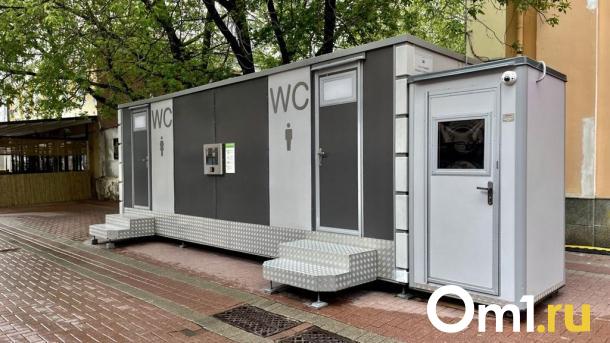 В омском Парке Победы установят биотуалеты за 960 тысяч рублей