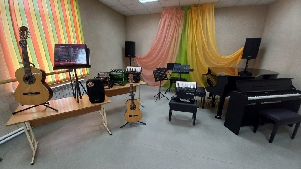 В Омской области 16 детских школ искусств получат новые музыкальные инструменты