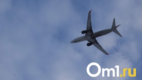 Росавиация продлила ограничения на полёты в центр и на юг России до 25 апреля