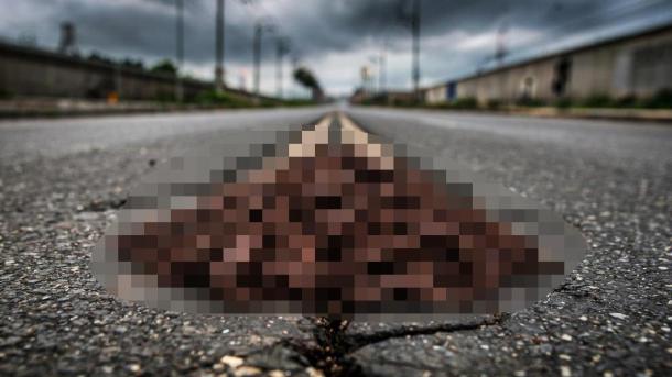 Бизнесмен навалил кучу фекалий возле входа в здание мэрии