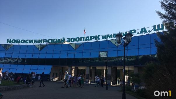 В Новосибирский зоопарк приехали более 10 новых животных и сурки