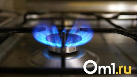 Газификация Омской области столкнулась с трудностями в Томске